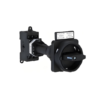 Salzer主开关H226-41300-234N1